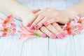 Woman hands with beautiful pink matted manicure Royalty Free Stock Photo