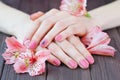 Woman hands with beautiful pink matted manicure Royalty Free Stock Photo