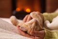 Woman hands caressing a sleeping kitten in front of the fireplace Royalty Free Stock Photo