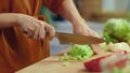 Woman hands chopping celery on cutting board. Housewife cooking fresh vegetables Royalty Free Stock Photo
