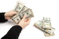 Woman hands count the dollars Royalty Free Stock Photo