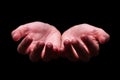 Woman hands cupped in a holding, begging, offering, giving, receiving, protecting gesture.