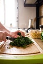 Woman hands, cutting onions Royalty Free Stock Photo