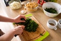 Woman hands, cutting onions Royalty Free Stock Photo