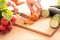 Woman hands cutting fresh veg with knife on cutting board Royalty Free Stock Photo