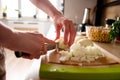 Woman hands, cutting onions Royalty Free Stock Photo