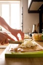 Woman hands, cutting onions Royalty Free Stock Photo