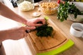 Woman hands, cutting onions Royalty Free Stock Photo