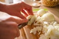 Woman hands, cutting onions Royalty Free Stock Photo