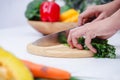 Woman hands cutting vegetables in the kitchen. Chef cooking vegan food. Chef preparing vegetables in kitchen Royalty Free Stock Photo