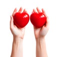 Woman hands each of which holding red love heart shapes decor thing, on white background, realistic design illustration,