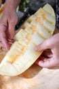 Woman hands forming melon slices Royalty Free Stock Photo