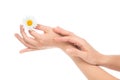 Woman hands french manicure with camomile daisy flower Royalty Free Stock Photo