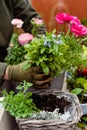 Woman hands in garden gloves creating flower composition at balcony