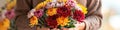 A woman hands gently hold a vibrant bouquet of chrysanthemums