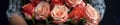 woman hands gently holding a lavish bouquet of roses