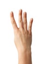 Woman Hands gestures on over white background.