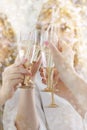 Woman hands with glass with champagne making toast during christmas party. Royalty Free Stock Photo