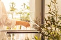 Woman hands hanging her laundry on balcony on the drying rack opposite sea and palm trees view at sunset sunshine. Royalty Free Stock Photo