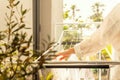 Woman hands hanging her laundry on balcony on the drying rack opposite sea and palm trees view at sunset sunshine. Royalty Free Stock Photo