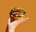 Woman hands hold big double cheeseburger burger sandwich with beef and bacon on yellow Royalty Free Stock Photo
