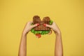 Woman hands hold bitten sandwich on yellow background. Sandwich promotion concept Royalty Free Stock Photo