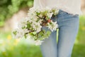 Woman hands holding apple blossom in her hands Royalty Free Stock Photo