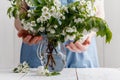 Woman hands holding apple blossom in her hands Royalty Free Stock Photo