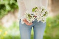 Woman hands holding apple blossom in her hands Royalty Free Stock Photo