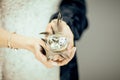 Woman hands holding birdnest in her hands, light pastel colors