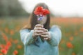 Woman hands holding bouquet of wildflowers in poppy field in evening summer countryside, close up. Atmospheric moment. Young Royalty Free Stock Photo