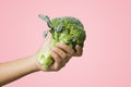 Woman hands holding Broccoli vegetables for health. Image clipping path