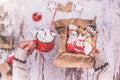 Woman hands holding a Christmas gingerbreads in a box and hot c Royalty Free Stock Photo