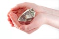 Woman hands holding crumpled dollar Royalty Free Stock Photo