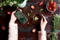 Woman hands holding cup of chamomile tea and mobile phone. Summer atmospheric fresh strawberries, chamomile, natural tea Royalty Free Stock Photo