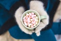 Woman Hands Holding Cup of Hot Chocolate with Marshmallow candies. Knitted mittens and Warm cocoa drink Royalty Free Stock Photo