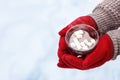 woman hands holding cup of hot cocoa Royalty Free Stock Photo