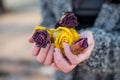 Woman hands holding dried red and yellow roses flowers Royalty Free Stock Photo