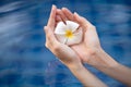 woman hands holding flower. Water Background. Royalty Free Stock Photo