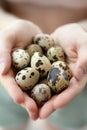 Woman hands holding fragile quail eggs