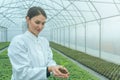 Woman hands holding green plant in soil. New life concept. Royalty Free Stock Photo