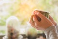 Woman hands holding hot cup of coffee in morning. Royalty Free Stock Photo