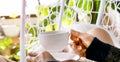 Selective focus of woman hands holding hot cup of coffee or tea in morning sunlight at the garden background Royalty Free Stock Photo