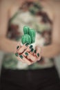 Woman hands holding a little artificial cactus, with perfect green nail polish