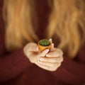 Woman hands holding a little cactus, sensual studio shot Royalty Free Stock Photo