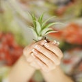 Woman hands holding a little cactus, sensual studio shot Royalty Free Stock Photo