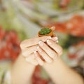 Woman hands holding a little cactus, sensual studio shot