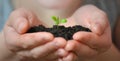 Woman hands holding Little seedling in black soil. Earth day and Ecology concept. Royalty Free Stock Photo