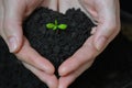 Woman hands holding Little seedling in black soil. Earth day and Ecology concept. Royalty Free Stock Photo