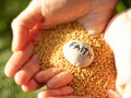 Woman hands holding mustard seeds and rock with the handwritten word faith